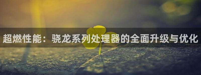 k8凯发平台登录：超燃性能：骁龙系列处理器的全面升级与优化