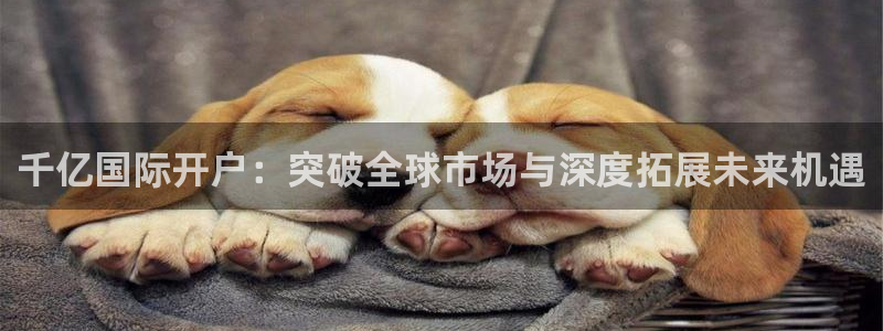 k8凯发下载并安装：千亿国际开户：突破全球市场与深度拓展未来机遇