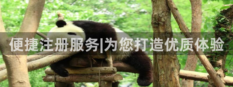 k8凯发4登录：便捷注册服务|为您打造优质体验