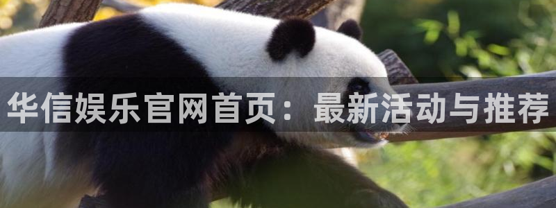 k8凯发平台主管：华信娱乐官网首页：最新活动与推荐
