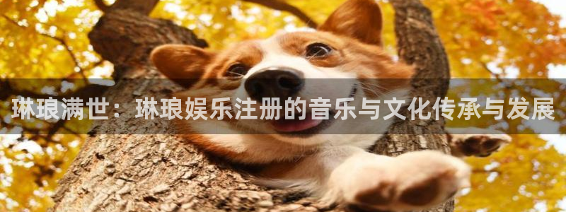 k8凯发2代理注册：琳琅满世：琳琅娱乐注册的音乐与文化传承与发展