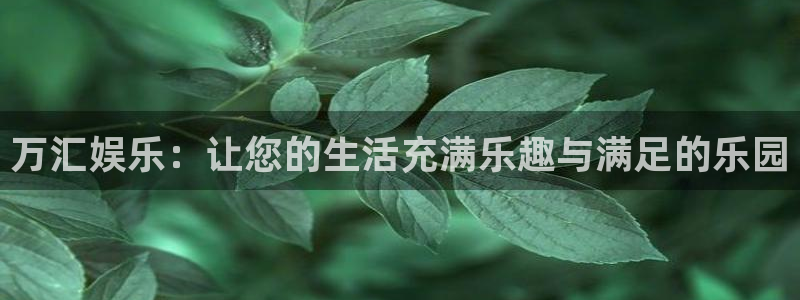 k8凯发注册网站app：万汇娱乐：让您的生活充满乐趣与满足的乐园