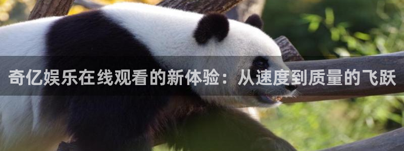 k8凯发手机版下载：奇亿娱乐在线观看的新体验：从速度到质量的飞跃