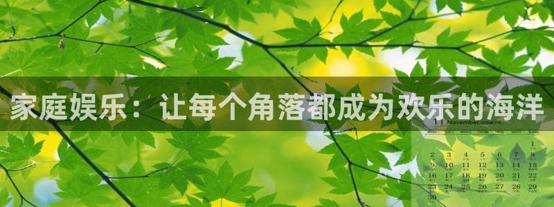 k8凯发3注册：家庭娱乐：让每个角落都成为欢乐的海洋