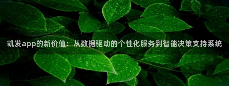 k8凯发注册入口与教程：凯发app的新价值：从数据驱动的个性化服务到智能决策支持