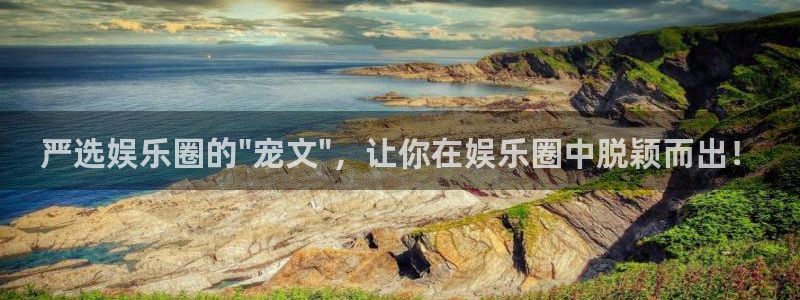 k8凯发pg：严选娱乐圈的\
