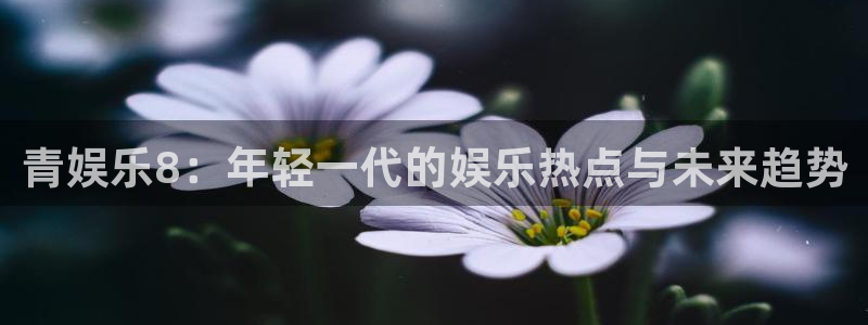 k8凯发平台官方入口下载：青娱乐8：年轻一代的娱乐热点与未来趋势