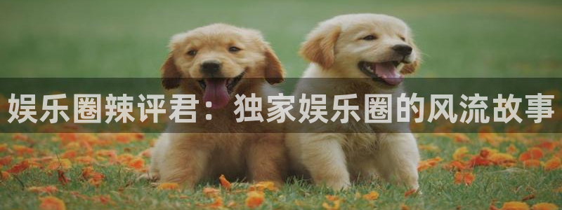 k8凯发体育1招商：娱乐圈辣评君：独家娱乐圈的风流故事