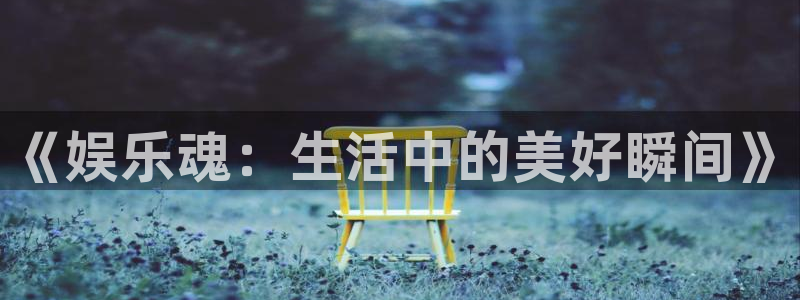 k8凯发凯捷平台注册链接：《娱乐魂：生活中的美好瞬间》