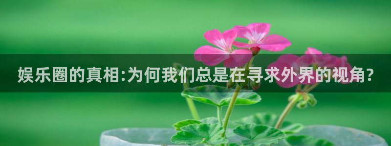 k8凯发包怎么样：娱乐圈的真相:为何我们总是在寻求外界的视角?
