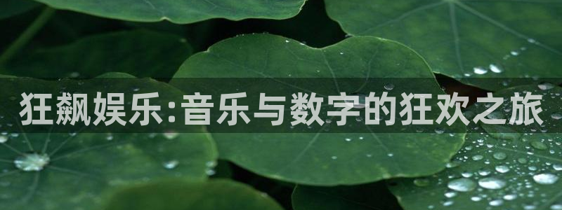 k8凯发注册网页版：狂飙娱乐:音乐与数字的狂欢之旅