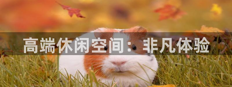 k8凯发f平台注册：高端休闲空间：非凡体验